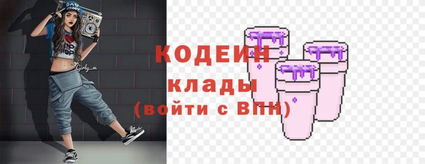 гашик Апатиты