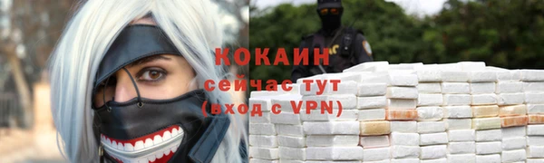 гашик Апатиты