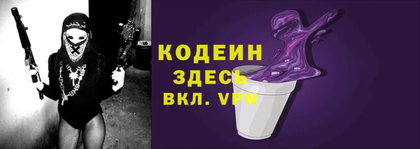 гидра Анжеро-Судженск