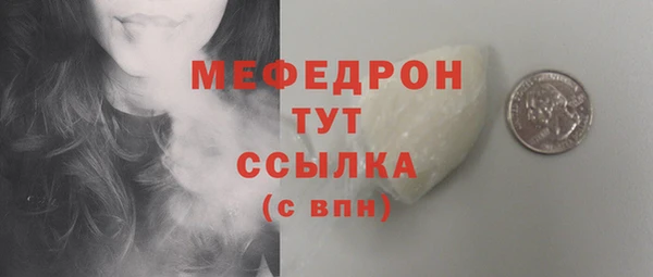 гидра Анжеро-Судженск