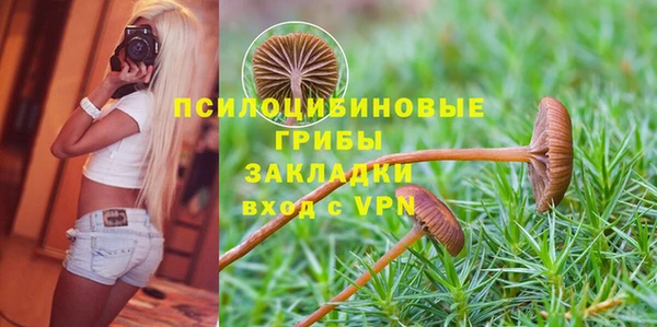 гидра Анжеро-Судженск