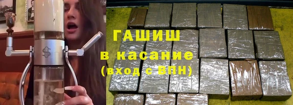 гидра Анжеро-Судженск