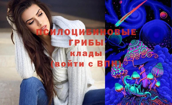 гидра Анжеро-Судженск