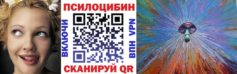 shop клад  Змеиногорск  Галлюциногенные грибы Magic Shrooms  цены  